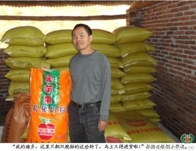 雙胞胎兄弟養(yǎng)豬比賽