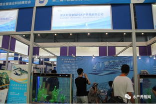 近500家水產(chǎn)產(chǎn)業(yè)鏈企業(yè)齊聚合肥漁博會(huì)，現(xiàn)場亮點(diǎn)紛呈，行業(yè)盛事引領(lǐng)產(chǎn)業(yè)新方向
